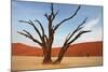 Dead Valley in Namibia-Andrushko Galyna-Mounted Photographic Print