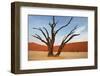 Dead Valley in Namibia-Andrushko Galyna-Framed Photographic Print