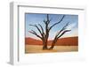 Dead Valley in Namibia-Andrushko Galyna-Framed Photographic Print