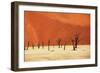 Dead Valley in Namibia-Andrushko Galyna-Framed Photographic Print