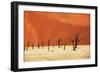 Dead Valley in Namibia-Andrushko Galyna-Framed Photographic Print