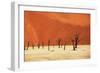 Dead Valley in Namibia-Andrushko Galyna-Framed Photographic Print