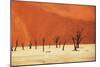Dead Valley in Namibia-Andrushko Galyna-Mounted Photographic Print