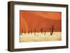 Dead Valley in Namibia-Andrushko Galyna-Framed Photographic Print