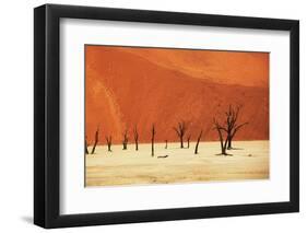 Dead Valley in Namibia-Andrushko Galyna-Framed Photographic Print