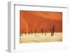 Dead Valley in Namibia-Andrushko Galyna-Framed Photographic Print