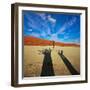 Dead Valley in Namibia-Andrushko Galyna-Framed Photographic Print