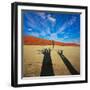 Dead Valley in Namibia-Andrushko Galyna-Framed Photographic Print