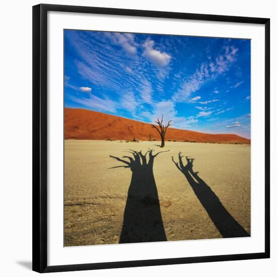 Dead Valley in Namibia-Andrushko Galyna-Framed Photographic Print