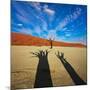 Dead Valley in Namibia-Andrushko Galyna-Mounted Photographic Print