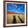 Dead Valley in Namibia-Andrushko Galyna-Framed Photographic Print