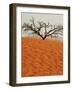 Dead Valley in Namibia-Andrushko Galyna-Framed Photographic Print