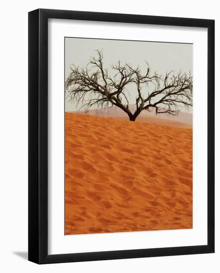 Dead Valley in Namibia-Andrushko Galyna-Framed Photographic Print