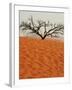 Dead Valley in Namibia-Andrushko Galyna-Framed Photographic Print