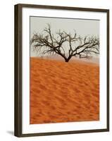 Dead Valley in Namibia-Andrushko Galyna-Framed Photographic Print