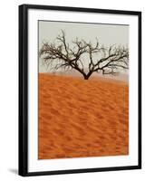 Dead Valley in Namibia-Andrushko Galyna-Framed Photographic Print