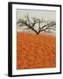 Dead Valley in Namibia-Andrushko Galyna-Framed Photographic Print