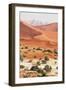 Dead Valley in Namibia-Andrushko Galyna-Framed Photographic Print