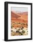 Dead Valley in Namibia-Andrushko Galyna-Framed Photographic Print