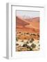 Dead Valley in Namibia-Andrushko Galyna-Framed Photographic Print