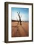 Dead Valley in Namibia-Andrushko Galyna-Framed Photographic Print