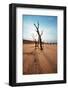 Dead Valley in Namibia-Andrushko Galyna-Framed Photographic Print