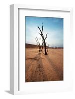 Dead Valley in Namibia-Andrushko Galyna-Framed Photographic Print