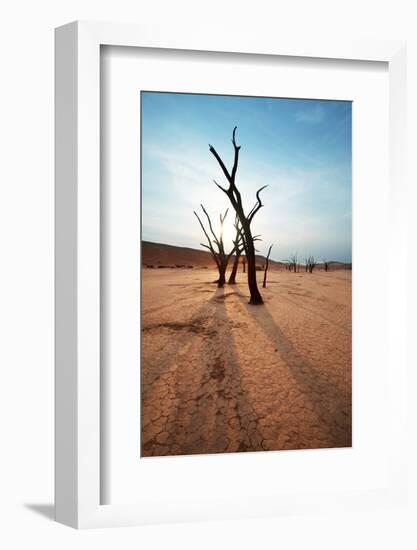 Dead Valley in Namibia-Andrushko Galyna-Framed Photographic Print