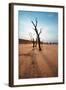 Dead Valley in Namibia-Andrushko Galyna-Framed Photographic Print