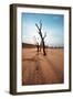 Dead Valley in Namibia-Andrushko Galyna-Framed Photographic Print