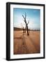 Dead Valley in Namibia-Andrushko Galyna-Framed Photographic Print