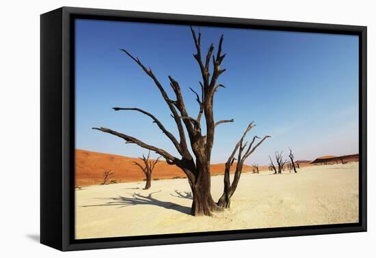 Dead Valley-Andrushko Galyna-Framed Stretched Canvas