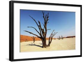 Dead Valley-Andrushko Galyna-Framed Photographic Print