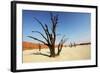 Dead Valley-Andrushko Galyna-Framed Photographic Print