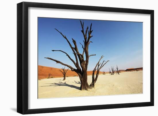 Dead Valley-Andrushko Galyna-Framed Photographic Print