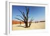 Dead Valley-Andrushko Galyna-Framed Photographic Print