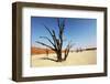 Dead Valley-Andrushko Galyna-Framed Photographic Print