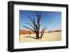 Dead Valley-Andrushko Galyna-Framed Photographic Print