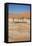 Dead Vlei at Namib Desert-Twentytwo-Framed Stretched Canvas