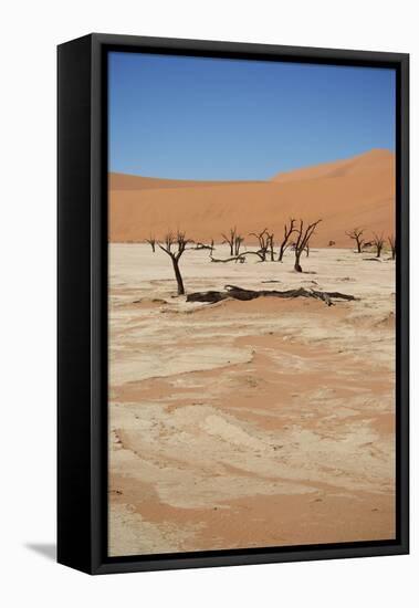 Dead Vlei at Namib Desert-Twentytwo-Framed Stretched Canvas