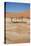 Dead Vlei at Namib Desert-Twentytwo-Stretched Canvas