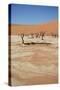 Dead Vlei at Namib Desert-Twentytwo-Stretched Canvas