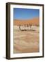 Dead Vlei at Namib Desert-Twentytwo-Framed Photographic Print