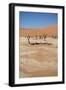 Dead Vlei at Namib Desert-Twentytwo-Framed Photographic Print