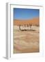 Dead Vlei at Namib Desert-Twentytwo-Framed Photographic Print