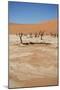 Dead Vlei at Namib Desert-Twentytwo-Mounted Photographic Print