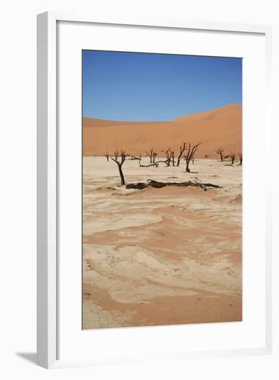 Dead Vlei at Namib Desert-Twentytwo-Framed Photographic Print