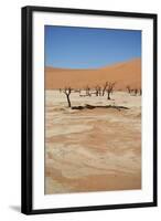 Dead Vlei at Namib Desert-Twentytwo-Framed Photographic Print