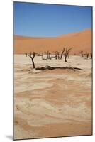 Dead Vlei at Namib Desert-Twentytwo-Mounted Photographic Print