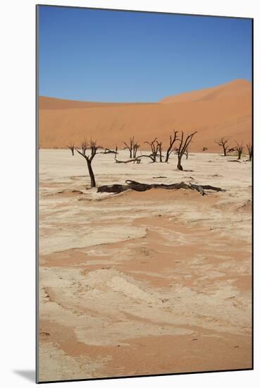 Dead Vlei at Namib Desert-Twentytwo-Mounted Photographic Print